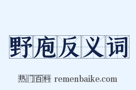 野庖反义词是什么意思的图片
